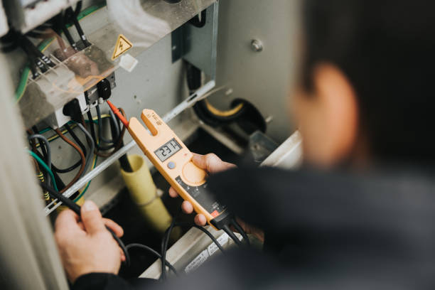 Best Electrical Panel Upgrades  in Grand Ledge, MI