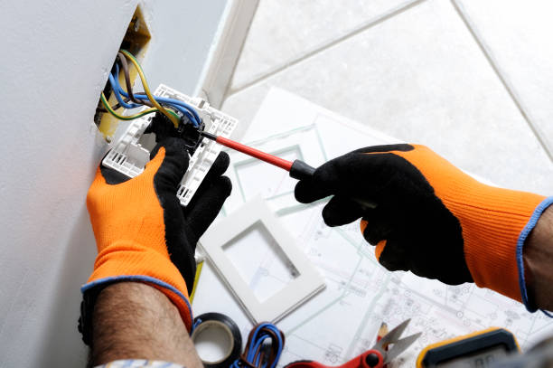 Best Electrical Safety Inspections  in Grand Ledge, MI